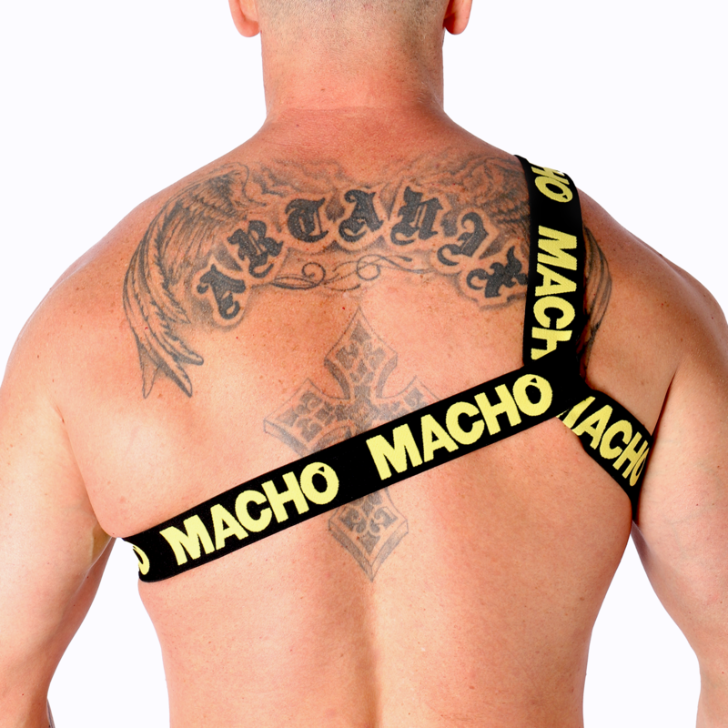 Vista 8 de Macho - Arnés Romano Pride