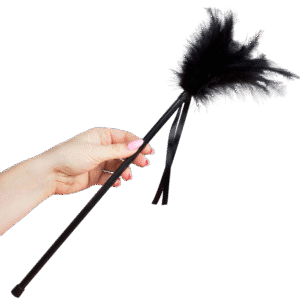 SECRETPLAY - PLUMERO PLUMAS NEGRO 40 CM