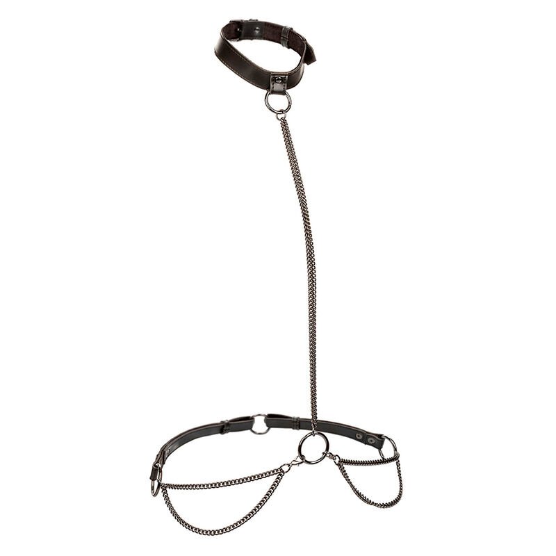 CALEXOTICS - EUPHORIA COLLAR HALTER Y CORREA CON CADENA TALLA PLUS - Imagen 2