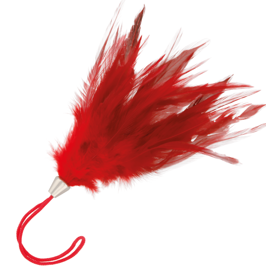 DARKNESS - PLUMA ESTIMULADORA ROJO 17CM - Accesorios - El Arte del Placer