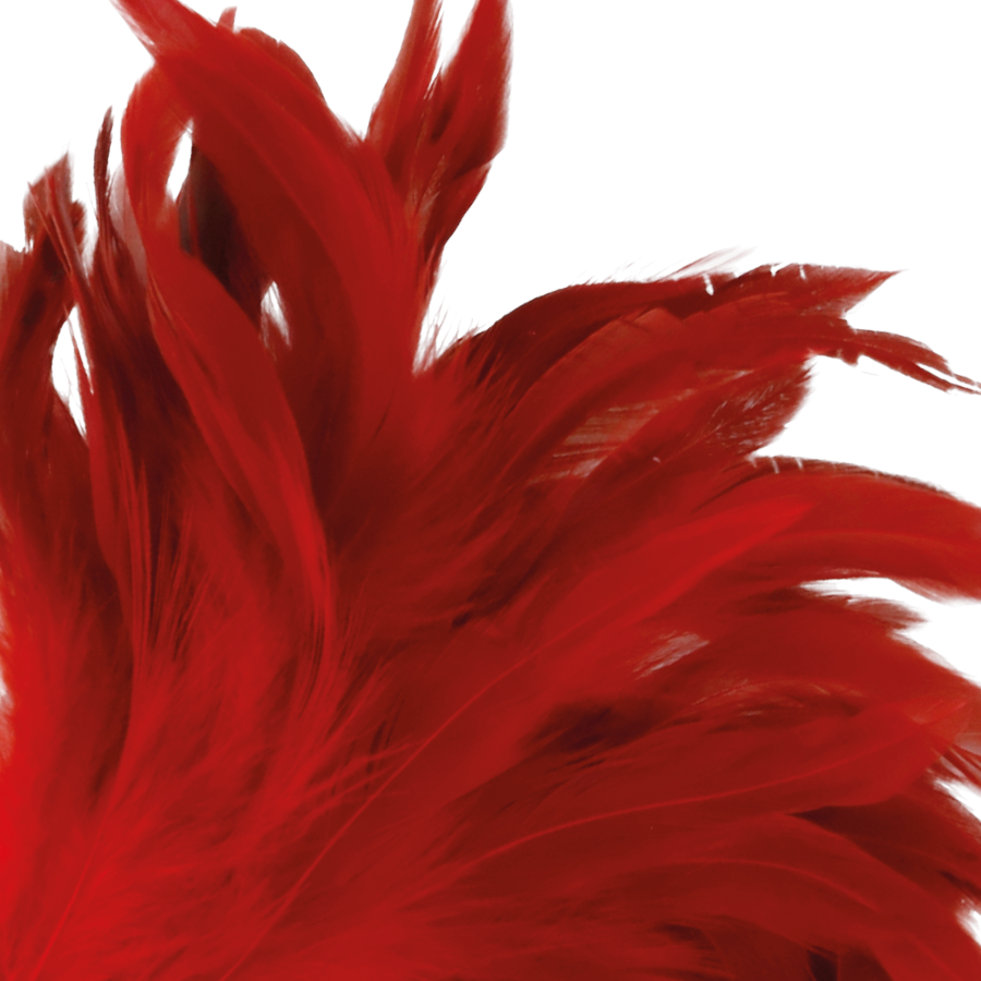 DARKNESS - PLUMA ESTIMULADORA ROJO 24CM - Accesorios - El Arte del Placer